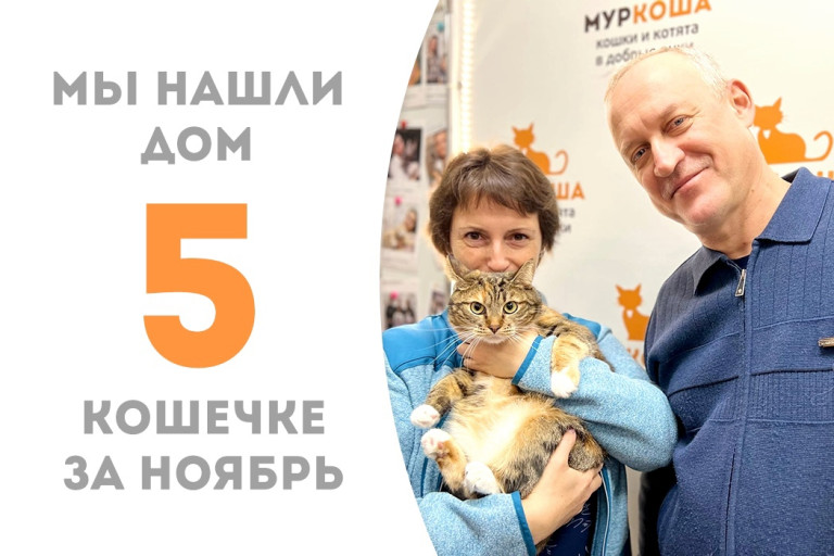 Трёхлетняя кошечка Мелисента начинает счастливую домашнюю жизнь! 