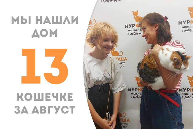 Общительная кошечка-красавица Микелла нашла себе новую семью! 
