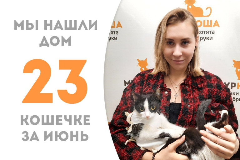 Кошечка Микка, пробыв в приюте менее двух месяцев, нашла новый дом! 