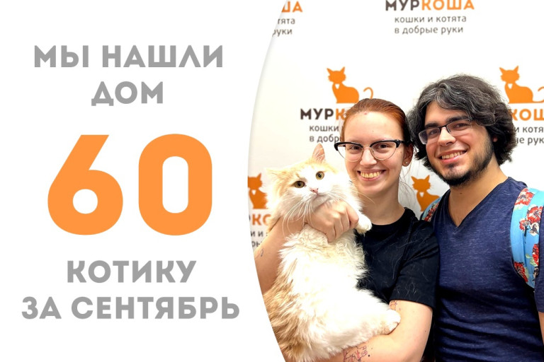 Двухлетний котик по имени Микки Маус стал домашним, пробыв месяц в приюте! 