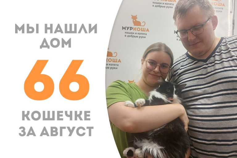 Годовалая кошечка Милина стала домашней! 