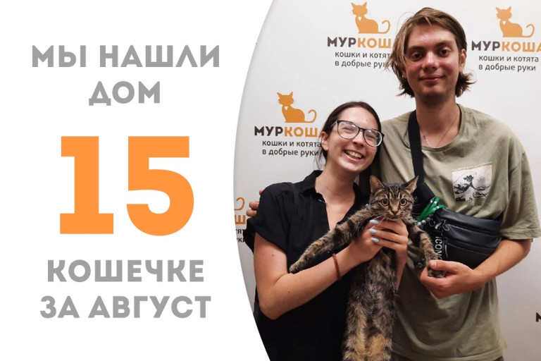 Кошечка Милли за два с небольшим месяца в приюте нашла для себя семью и дом!
