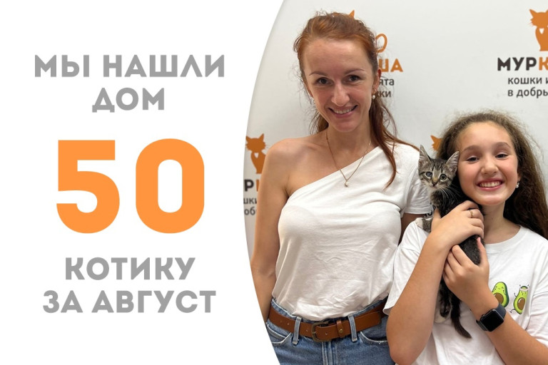 Трёхмесячный котёнок Мишутка стал домашним пробыв месяц в приюте! 