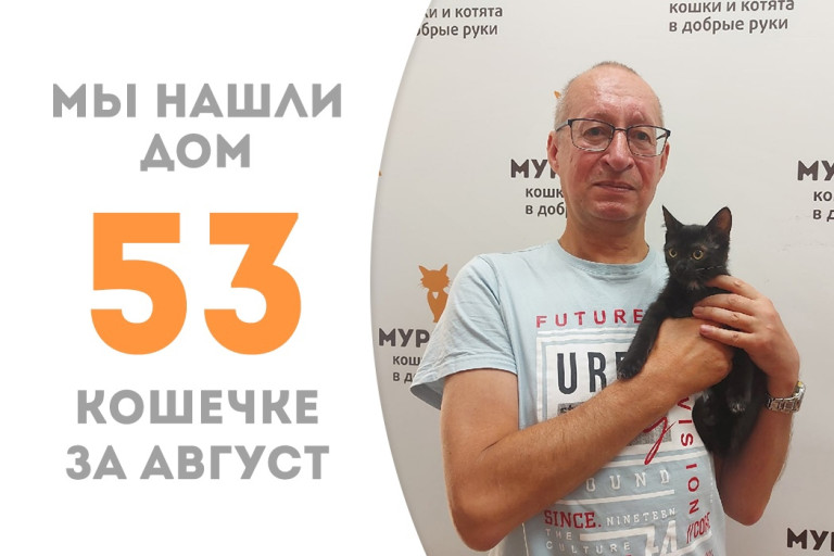 Юная кошечка Мисс Мурия провела в приюте чуть больше месяца и уехала домой! 