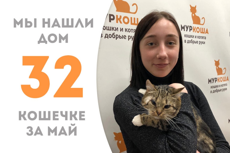 Годовалая кошечка Мисси встретила своё счастье! 