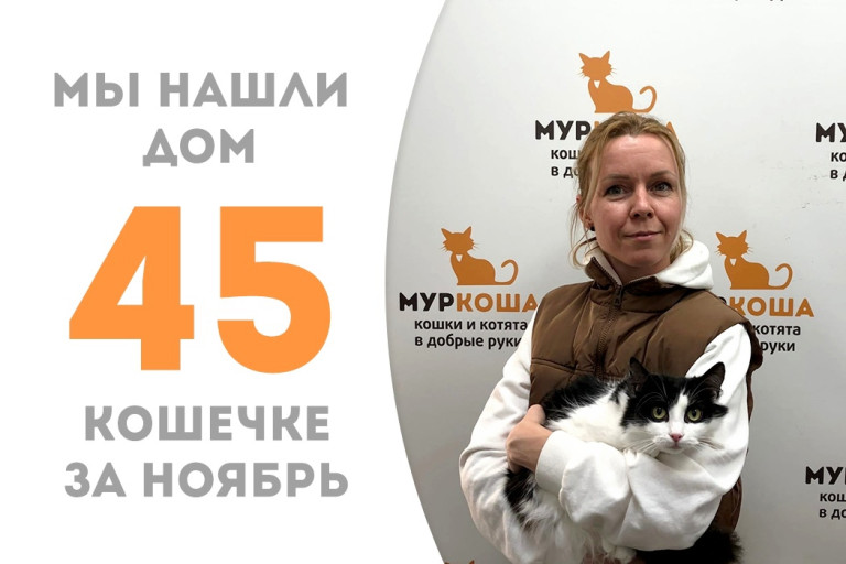 Двухлетняя кошечка Мистерия уехала создавать уют домой! 