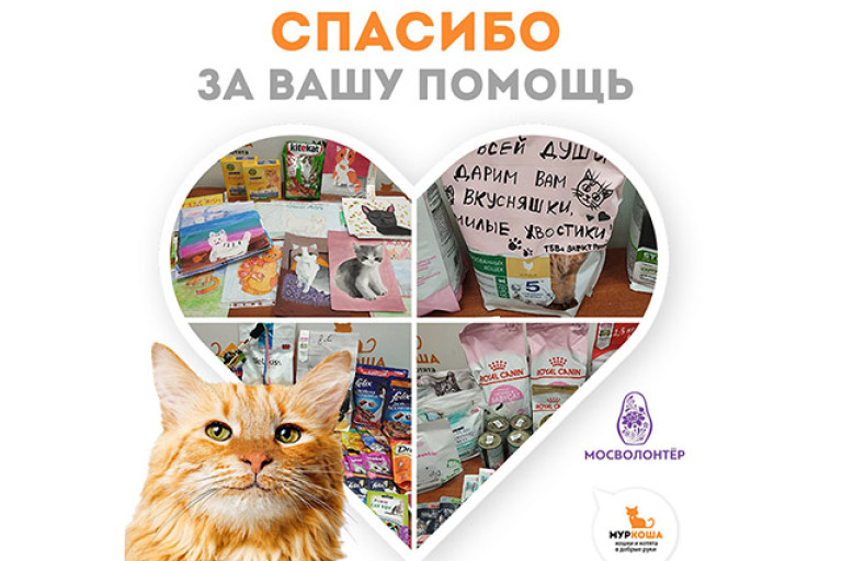 Как здорово, что в мире столько доброты! 