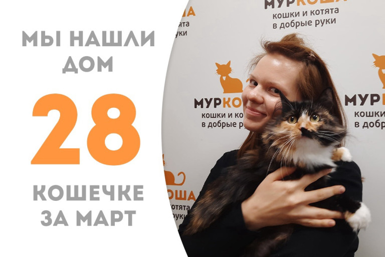 У кошечки Мурлианы теперь есть дом и семья!