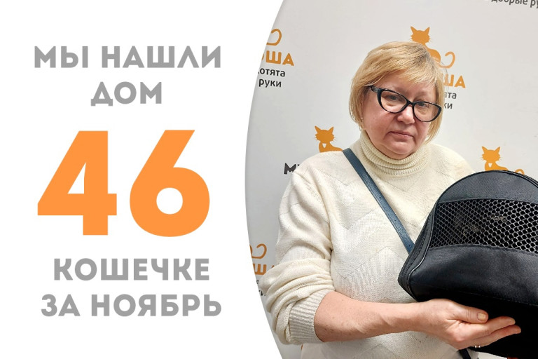У одиннадцатилетней кошечки Мяточки появились новый дом и добрая хозяйка! 