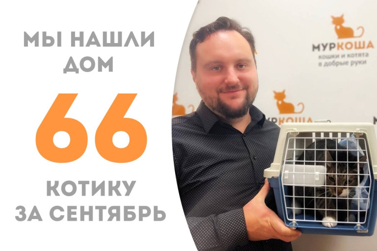 Двухлетний котик Намикус уехал домой! 