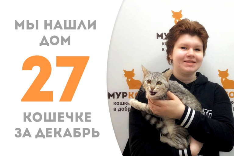 Малышка Ниаша обрела добрую хозяйку, пробыв менее трёх месяцев в приюте! 