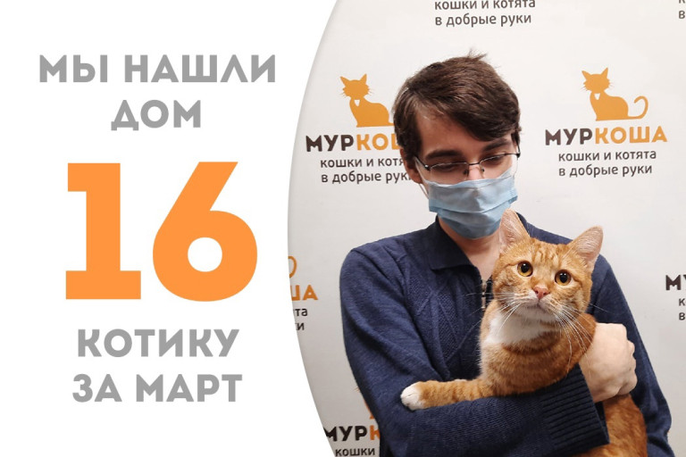 Котик Оська встретил надёжного друга!