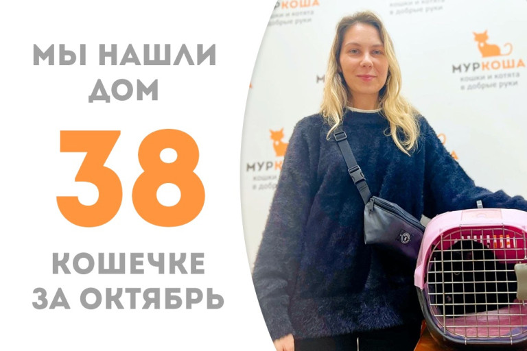 Четырёхлетняя кошечка Пипи стала домашней! 