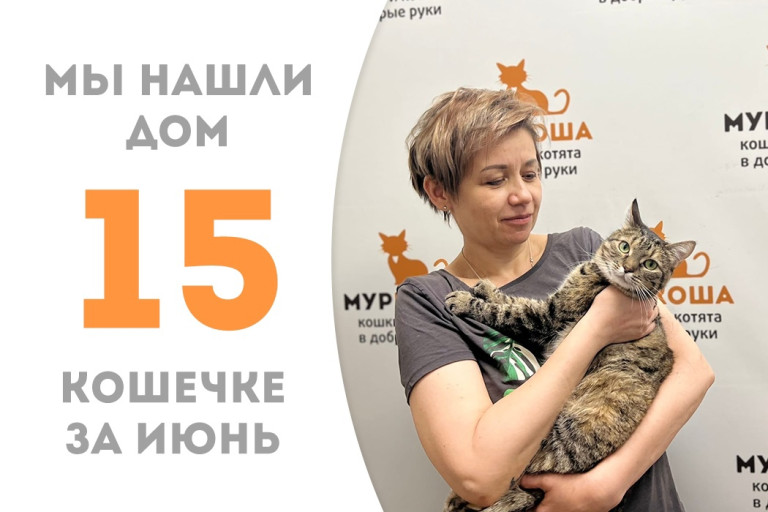 Кошечка Пролетарка стала домашней!