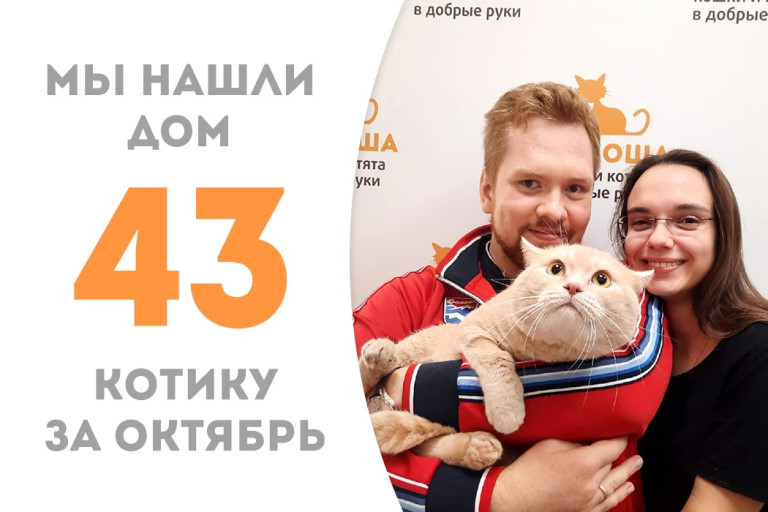 Пятилетний котик Птенчик выпорхнул из приюта в домашнюю жизнь, пробыв в нём два с половиной месяца! 