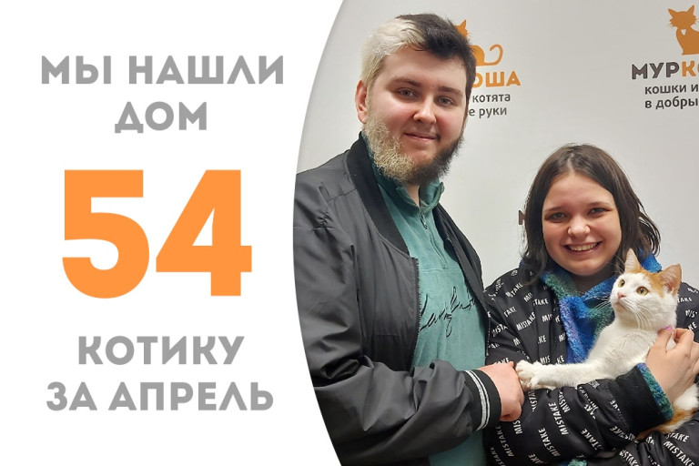 Котик Пучок встретил домашнее счастье!