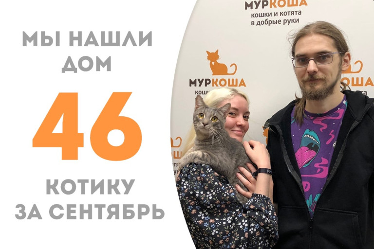 Годовалый котик Пумзи нашёл для себя заботливую семью! 