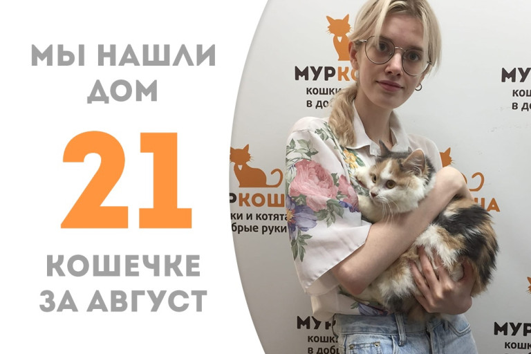 Десятимесячная кошечка Рафаэла стала домашней! 