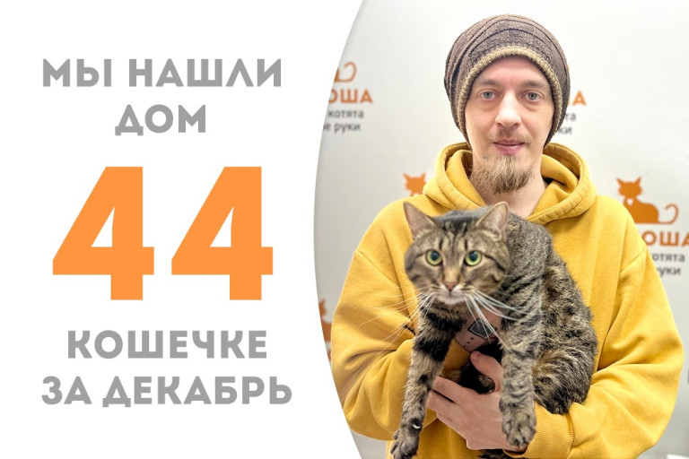 Двухлетняя полосатушка Рамона встретит Новый год со своим человеком!