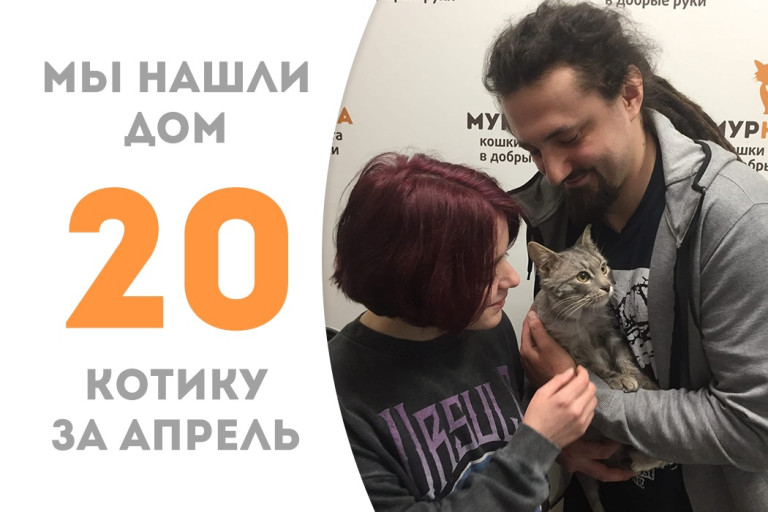 Счастье улыбнулось котику Рокеру спустя два месяца адаптации в "Муркоше"!