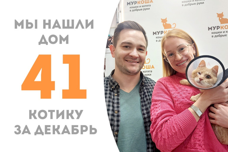 Солнечный котёнок Романчик встретил своих людей и уехал домой!