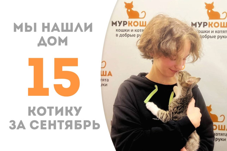 Котёнок Розмарин стал домашним на четвёртые сутки после поступления в приют! 