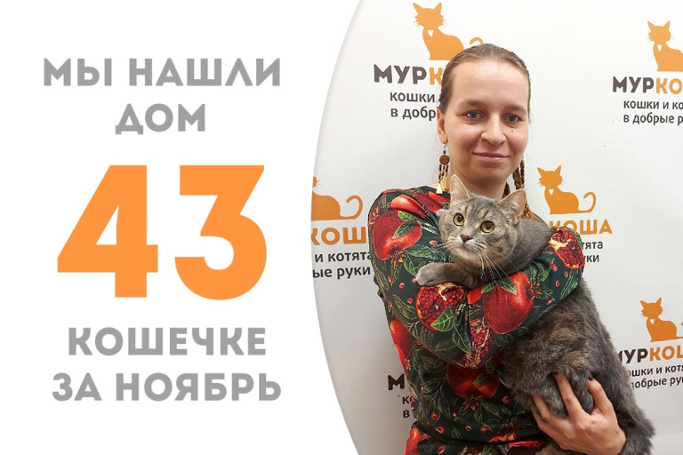 Годовалая кошечка Рунна вновь обрела дом и надёжного человека! 
