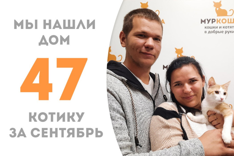 Котёнок Рыжеофан, спасённый с парковки два месяца назад, стал домашним любимчиком! 