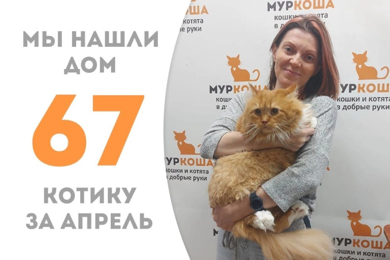 Рыжий Макс отправился в новый дом!
