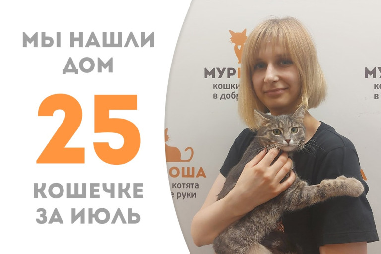 Десятимесячная кошечка Салли стала домашней! 