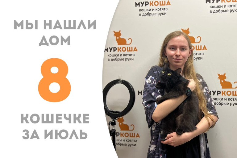 Кошечка Сажа, приехавшая с дач, нашла свою хозяйку чуть за месяц с небольшим! 