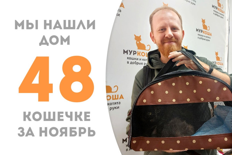 Двухлетняя кошечка Семирамида встретила доброго человека и уехала домой! 