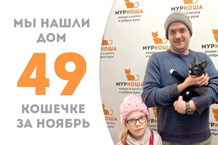 Девятимесячная кошечка Сеньорита Мурита обрела добрую семью и уютный дом! 