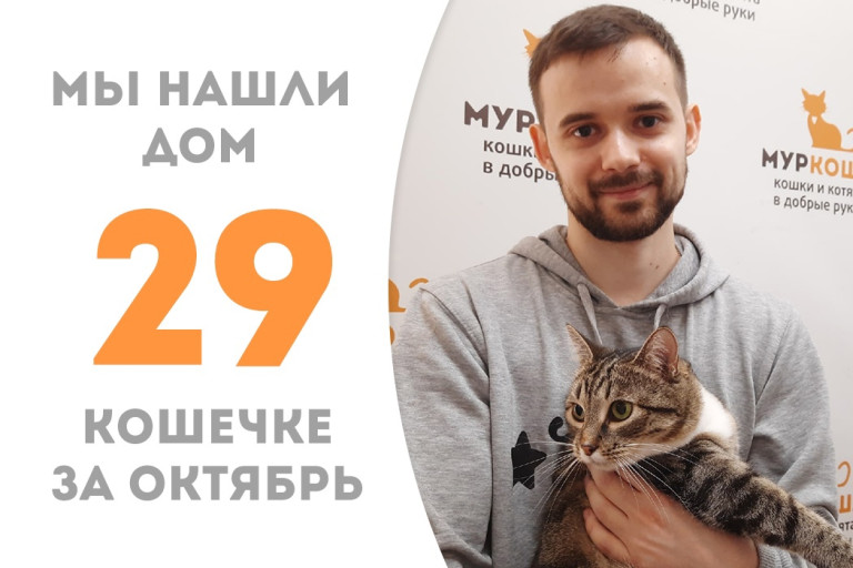 Четырёхлетняя кошечка Сэйшела обрела замечательного друга и хозяина!