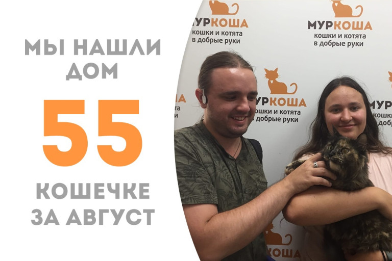Двухлетняя кошечка Шана обрела семью и названного брата!