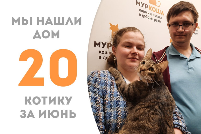 Котик Шандр стал домашним и любимым! 