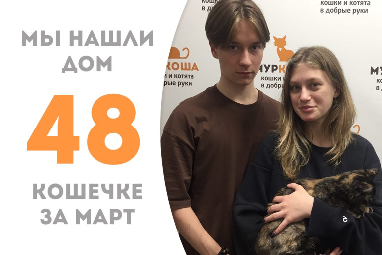 Кошечка Шапелен уезжает в новый дом!