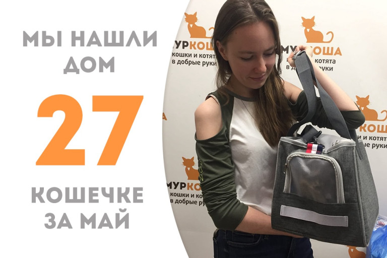 Полуторогодовалая кошечка Шими встретила свою хозяйку! 