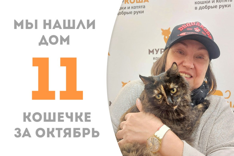 Двухлетняя кошечка Силиция встретила свою хозяйку и теперь счастлива! 