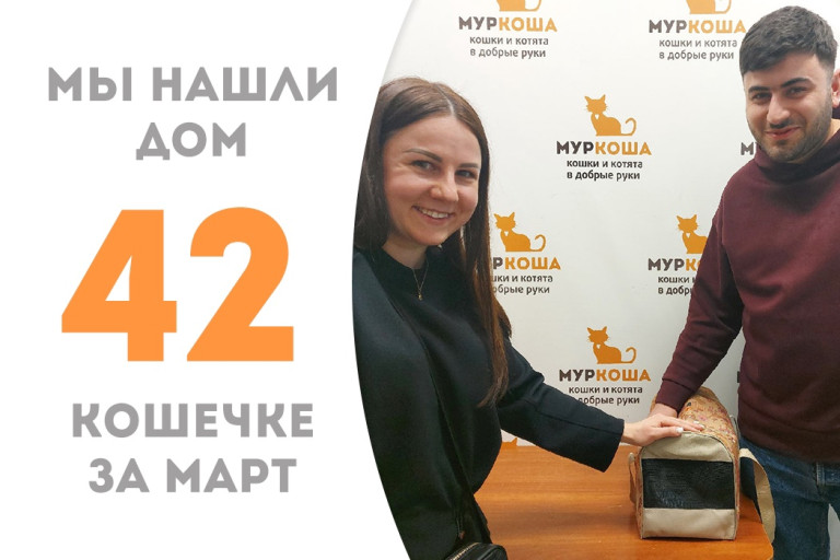 Кошечка Скромница встретила надежных хозяев! 