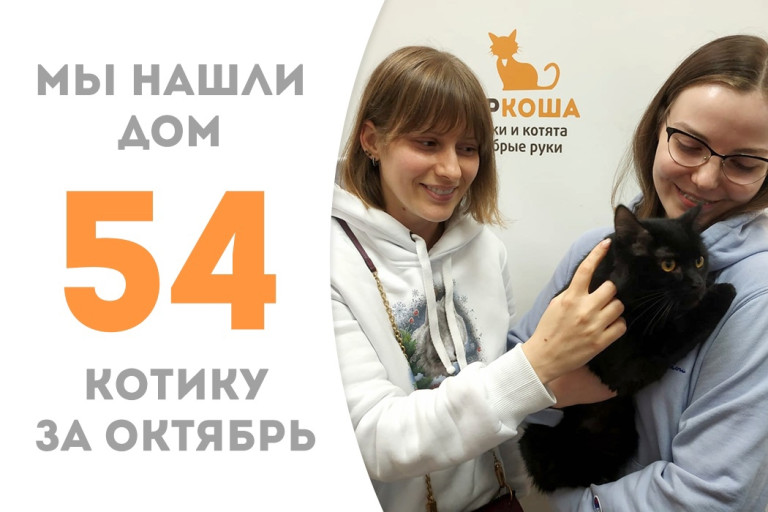 Трёхлетний котик Скрудж встретил своё домашнее счастье!