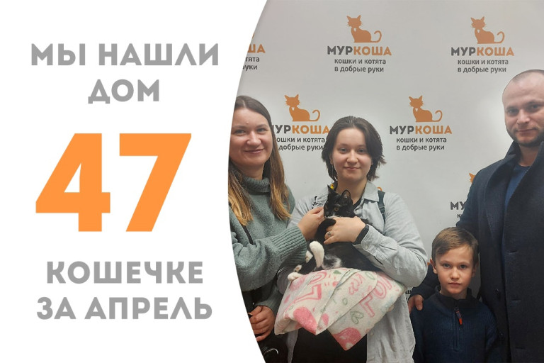 Полугодовалая кошечка Сладушка стала домашней! 