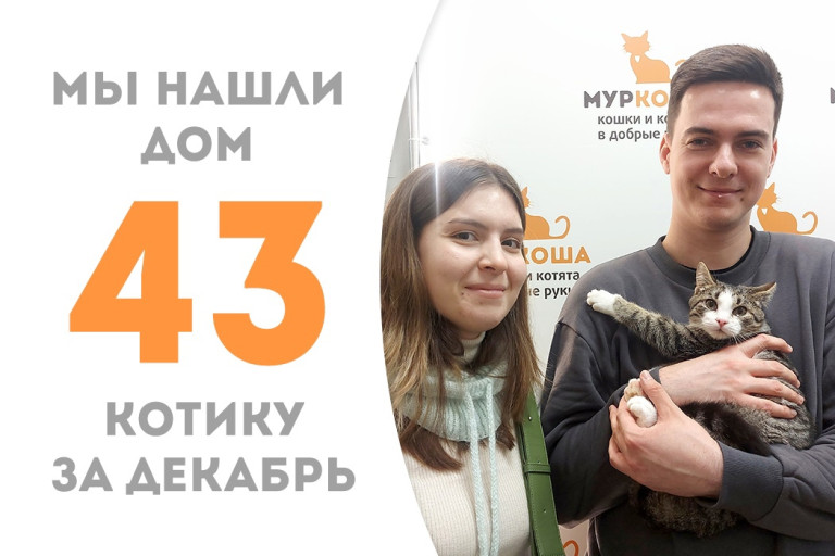 Малыш Смайки за полтора месяца в приюте нашёл для себя любящую семью!