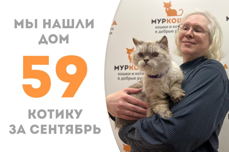 Котик Сократ через три месяца жизни в приюте нашёл своё счастье в лице доброго куратора! 
