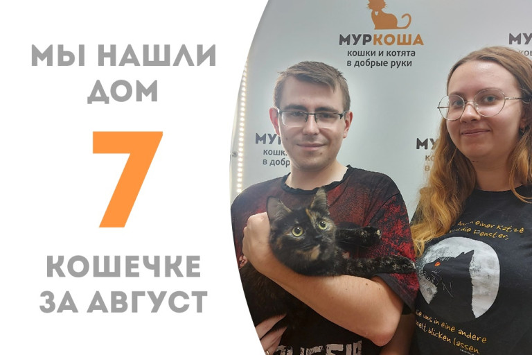 Полуторогодовалая кошечка по имени Солнце нашла себе семью! 