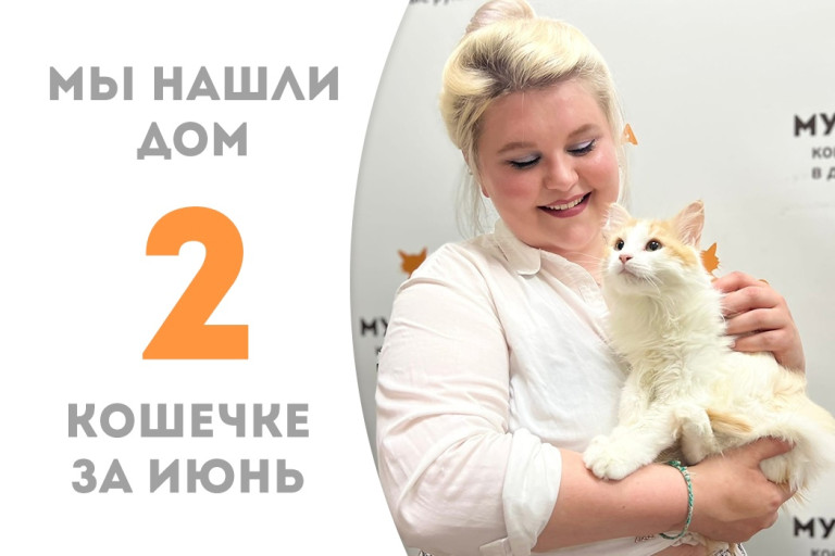 Кошечка Стэлари стала домашней за два месяца! 