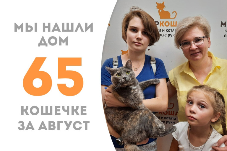 Кошечка Стелла приглянулась доброй семье и уехала в новый дом! 
