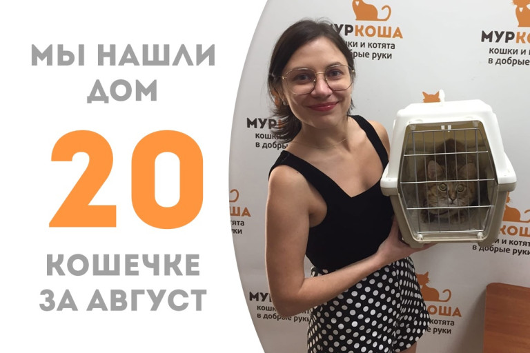 Кошечка Тэона через два с половиной месяца в приюте обрела новый дом!