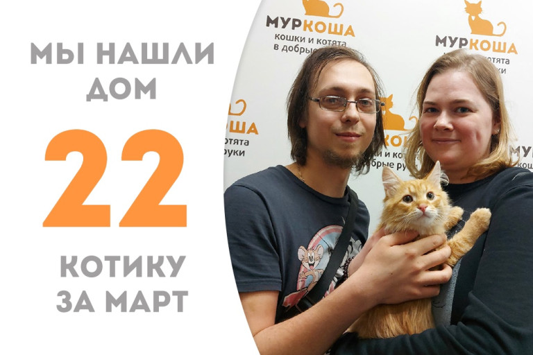 Котик Тигрусь встретил надежных хозяев!
