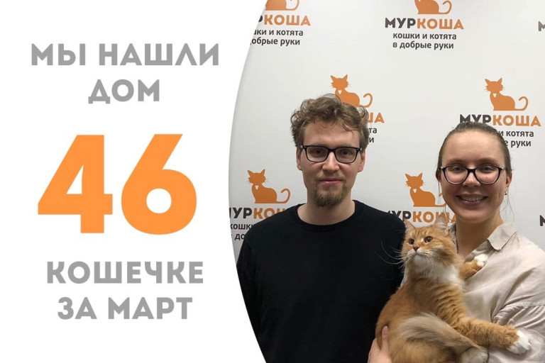 Кошка Тихошна уехала в новый дом!